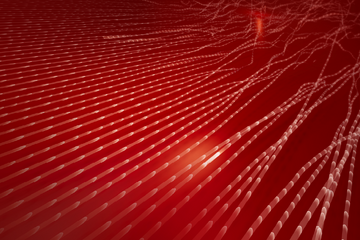Banner image of the Security Radar 2025 with a red abstract background.