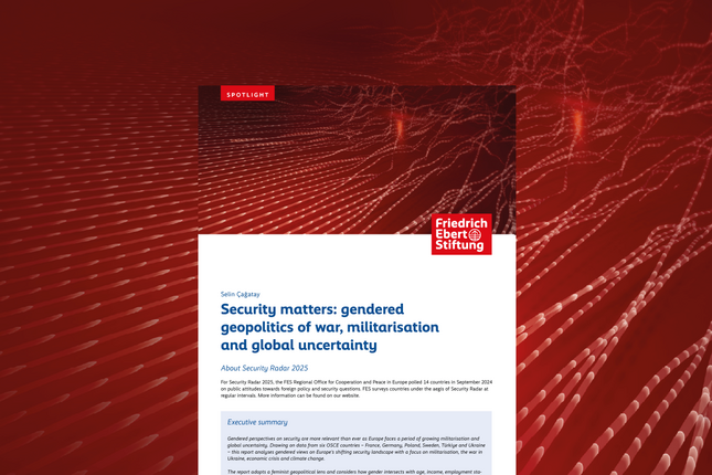 Security matters: gendered geopolitics of war, militarisation and global uncertainty