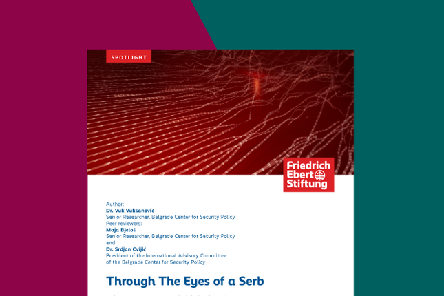 Through the eyes of a Serb