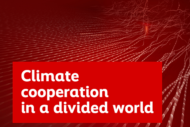 Climate cooperation in a divided world