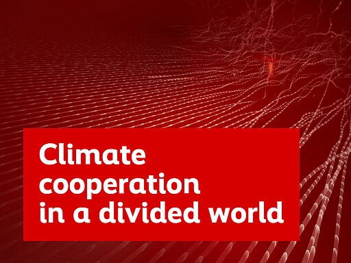 Climate cooperation in a divided world