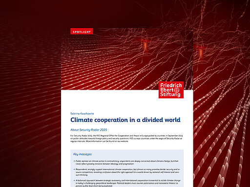 Climate cooperation in a divided world