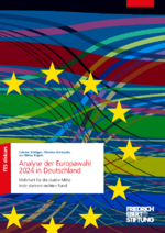 Analyse der Europawahl 2024 in Deutschland